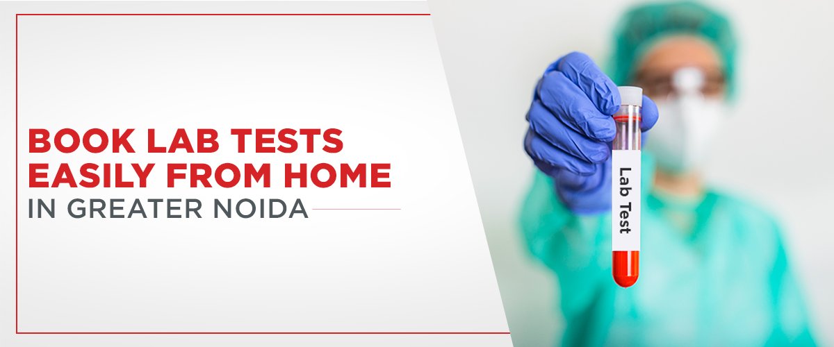 Book Lab Tests Easily from Home in Greater Noida